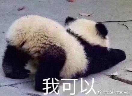 澳門最準(zhǔn)四不像，神秘與魅力的獨特融合，澳門神秘四不像，獨特魅力的融合之旅