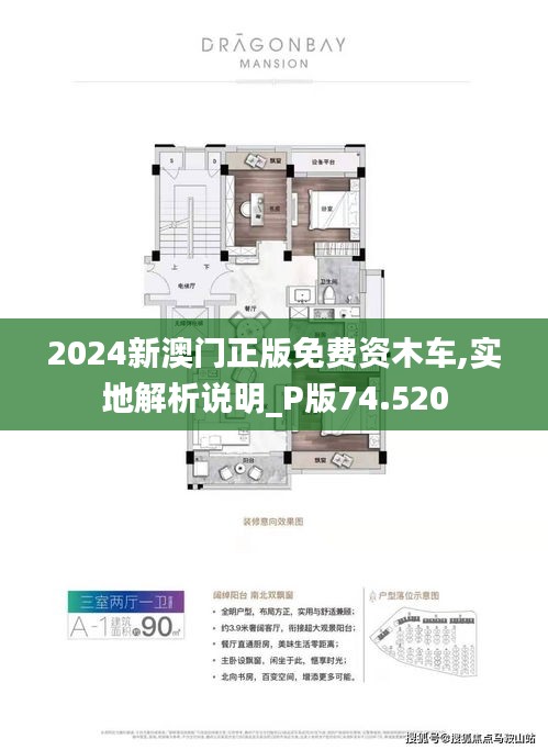 探索澳門(mén)未來(lái)，2025新澳門(mén)正版免費(fèi)資訊車(chē)的發(fā)展與影響，澳門(mén)未來(lái)展望，2025年正版免費(fèi)資訊車(chē)的發(fā)展與影響探索