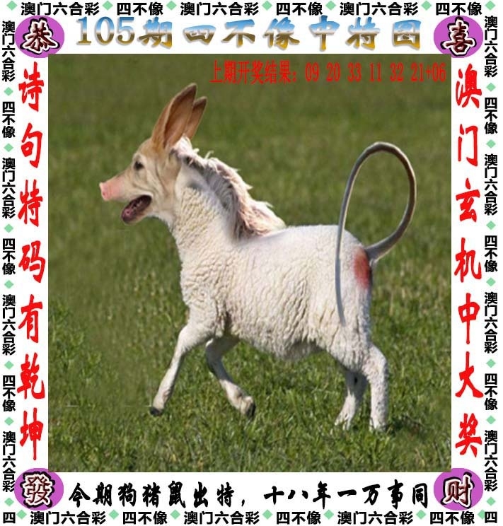 澳門精準四不像，探索與預(yù)測到2025年，澳門精準四不像，未來至2025年的探索與預(yù)測