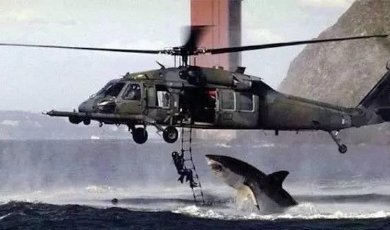 鯊魚直升機，空中霸主的力量與威嚴，鯊魚直升機，空中霸主之力量與威嚴展示
