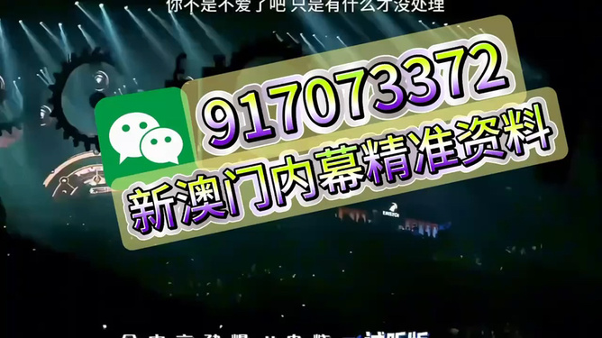 王中王一肖，特馬與一馬的傳奇故事，王中王一肖，特馬與一馬的非凡傳奇故事