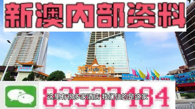 澳門免費(fèi)資料大全精準(zhǔn)版853，探索與解讀，澳門免費(fèi)資料大全精準(zhǔn)版853，深度探索與解讀