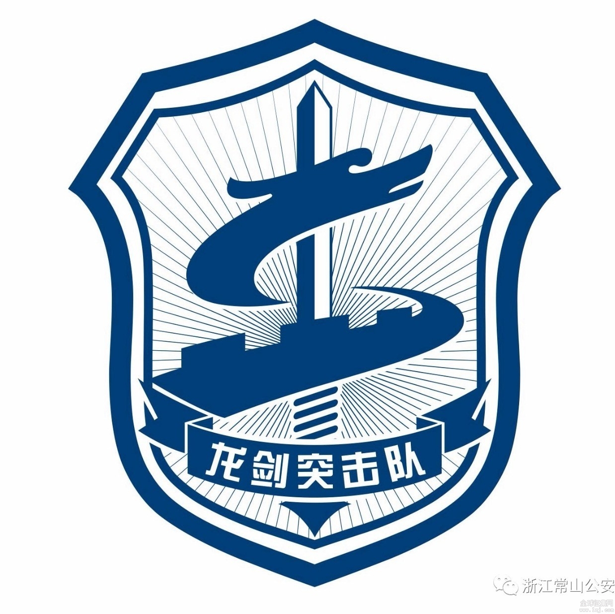 揭秘蛟龍突擊隊(duì)隊(duì)標(biāo)，榮耀與使命的象征，揭秘蛟龍突擊隊(duì)隊(duì)標(biāo)，榮耀與使命的象征探秘