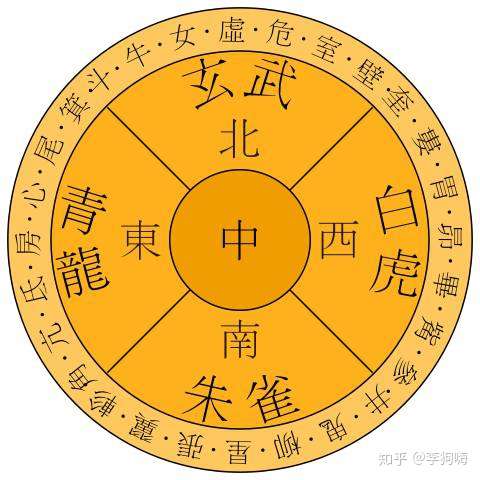 王中王資料一肖中地圖，深度解析與探討，王中王資料一肖中地圖深度解析與探討