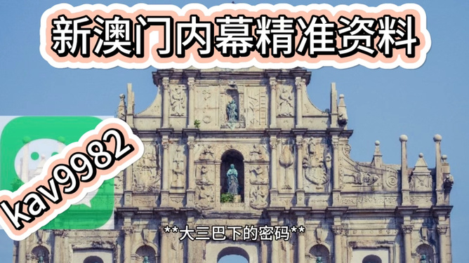 澳門內(nèi)部2肖二碼的秘密與探索，澳門內(nèi)部二肖二碼的秘密揭秘