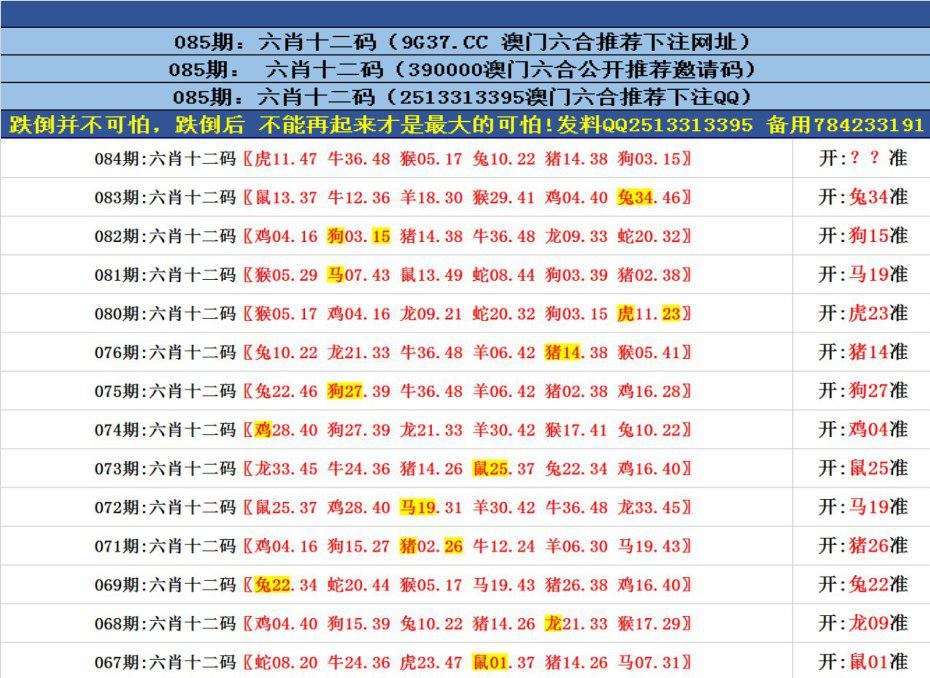 澳門正版資料免費(fèi)更新——探索澳門正版的魅力與價(jià)值，澳門正版資料免費(fèi)更新，探索澳門正版的獨(dú)特魅力與價(jià)值