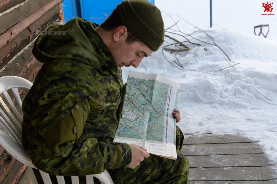 草莓女兵，堅韌與柔美的結(jié)合，草莓女兵，堅韌與柔美的完美交融