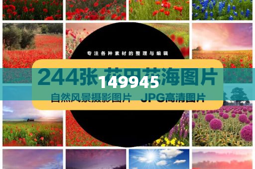 澳門正版精準(zhǔn)免費(fèi)——探索未來的機(jī)遇與挑戰(zhàn)，澳門正版精準(zhǔn)免費(fèi)，未來機(jī)遇與挑戰(zhàn)的探索
