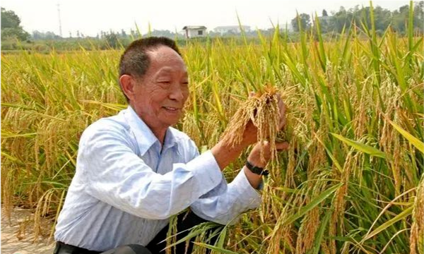 共和國(guó)勛章獲得者可以享受的待遇，共和國(guó)勛章獲得者享有的待遇，國(guó)家級(jí)榮譽(yù)的最高禮贊