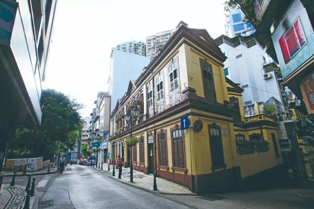 澳門8期必開一肖，揭秘生肖彩票的神秘面紗，澳門生肖彩票揭秘，8期必開一肖的神秘面紗