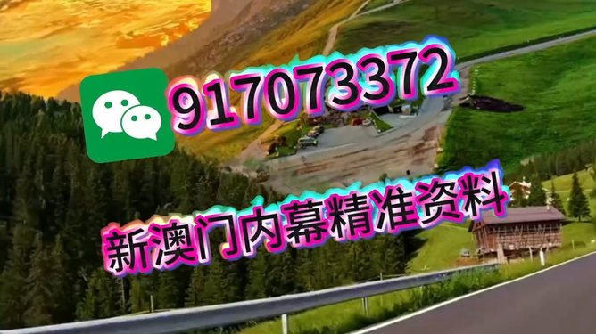 澳門王中王，一肖一馬的傳奇故事，澳門王中王，一肖一馬的神秘傳奇故事