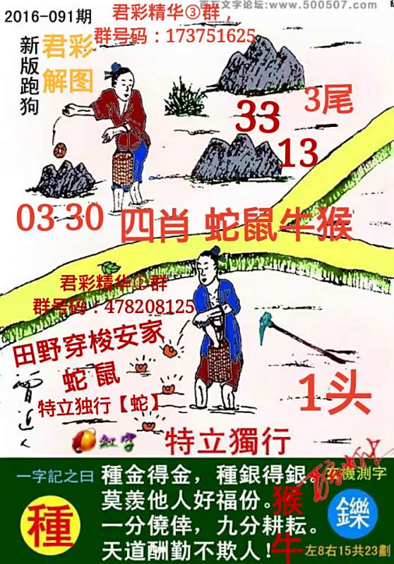揭秘精準(zhǔn)跑狗圖，探索數(shù)字世界中的神秘77777與88888，揭秘精準(zhǔn)跑狗圖，神秘數(shù)字77777與88888背后的秘密探索