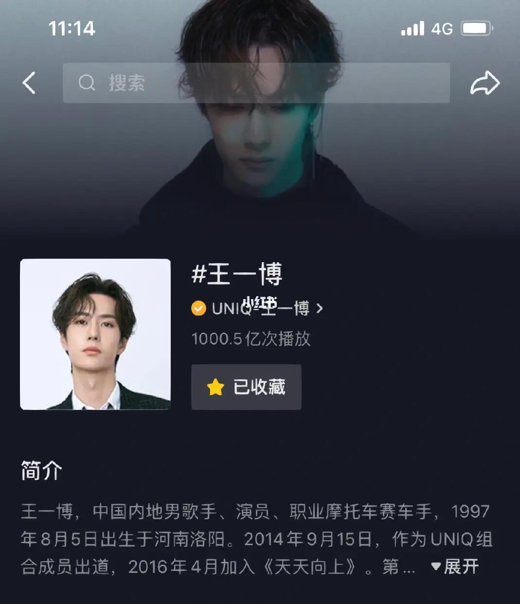 探索王中王一肖中特，一種獨(dú)特的文化現(xiàn)象，王中王一肖中特，獨(dú)特的文化現(xiàn)象探索