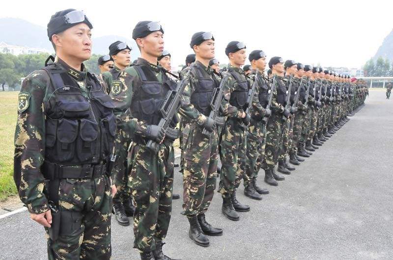 武警與陸軍的區(qū)別，職責(zé)、任務(wù)與特色的差異探討，武警與陸軍職責(zé)、任務(wù)與特色差異探討，兩大軍種的區(qū)別解析
