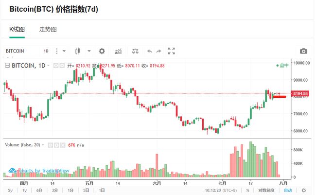 王中王資科一肖中持天，探索與突破的力量，王中王資科一肖持天，探索與突破的力量