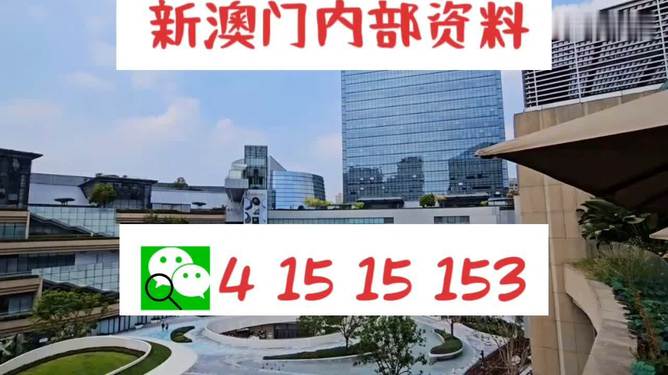 澳門一碼精準必中的奧秘與探索，澳門一碼精準必中的奧秘揭秘與探索