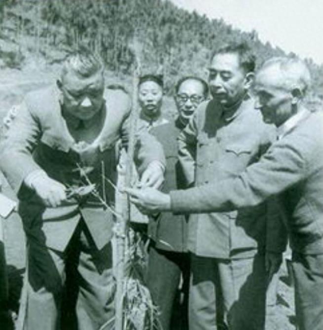 云南民國上將名單及其歷史貢獻(xiàn)，云南民國上將名單及其歷史貢獻(xiàn)概覽