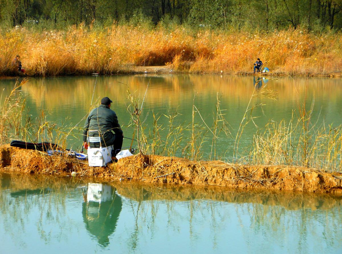 中國空軍航空大學(xué)招飛條件詳解，中國空軍航空大學(xué)招飛條件全面解析