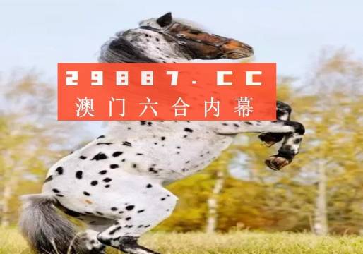 白小姐精準(zhǔn)免費四肖，揭秘背后的秘密與真相，揭秘白小姐精準(zhǔn)免費四肖背后的真相與秘密