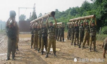 國(guó)際獵人學(xué)校含金量深度解析，國(guó)際獵人學(xué)校含金量全面解析