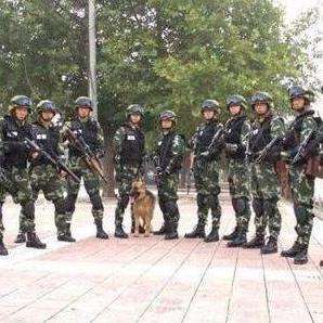 中國人民武裝警察部隊特種警察學(xué)院特種作戰(zhàn)大隊，榮耀與使命的象征，中國人民武裝警察部隊特種警察學(xué)院特種作戰(zhàn)大隊，榮耀與使命的戰(zhàn)旗飄揚