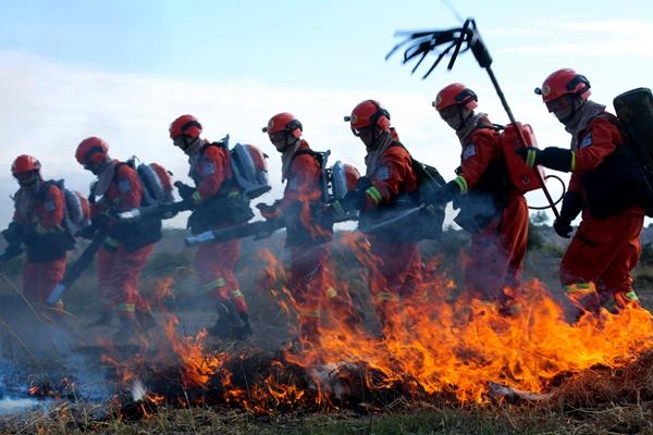 新疆軍區(qū)總兵力概況，新疆軍區(qū)總兵力概況簡(jiǎn)介