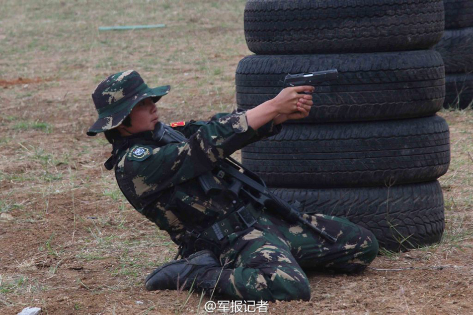 十四集團(tuán)軍的創(chuàng)立歷程及其歷史背景，十四集團(tuán)軍的創(chuàng)立歷程與歷史背景探究