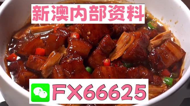 澳門(mén)精準(zhǔn)一碼發(fā)財(cái)，探索與理解，澳門(mén)精準(zhǔn)一碼發(fā)財(cái)，深度探索與理解