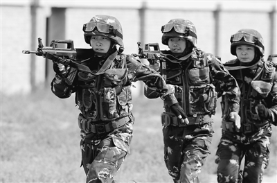 和平使命2014，中國裝備的力量與擔當，和平使命2014，中國裝備的力量與擔當