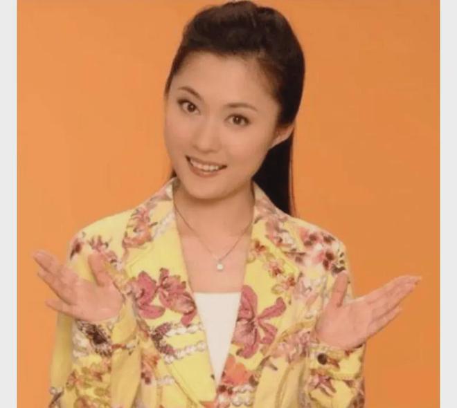 央視漂亮女主持人名單，璀璨星河的璀璨明珠，央視璀璨女主持人名單，璀璨星河的閃耀明珠