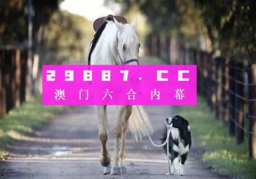 新澳一肖一碼，探索與解析，新澳一肖一碼，深度探索與解析