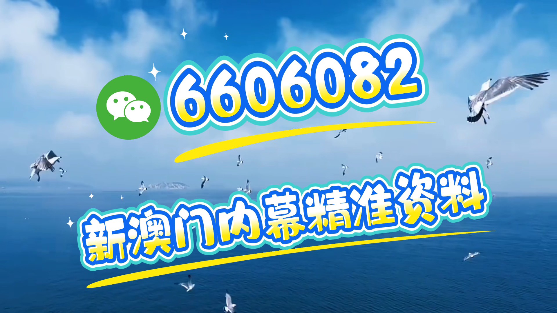 新澳門(mén)資料大全正版資料2025年免費(fèi)下載——探索真實(shí)信息的海洋，澳門(mén)正版資料大全探索真實(shí)信息的海洋（2025年免費(fèi)下載）