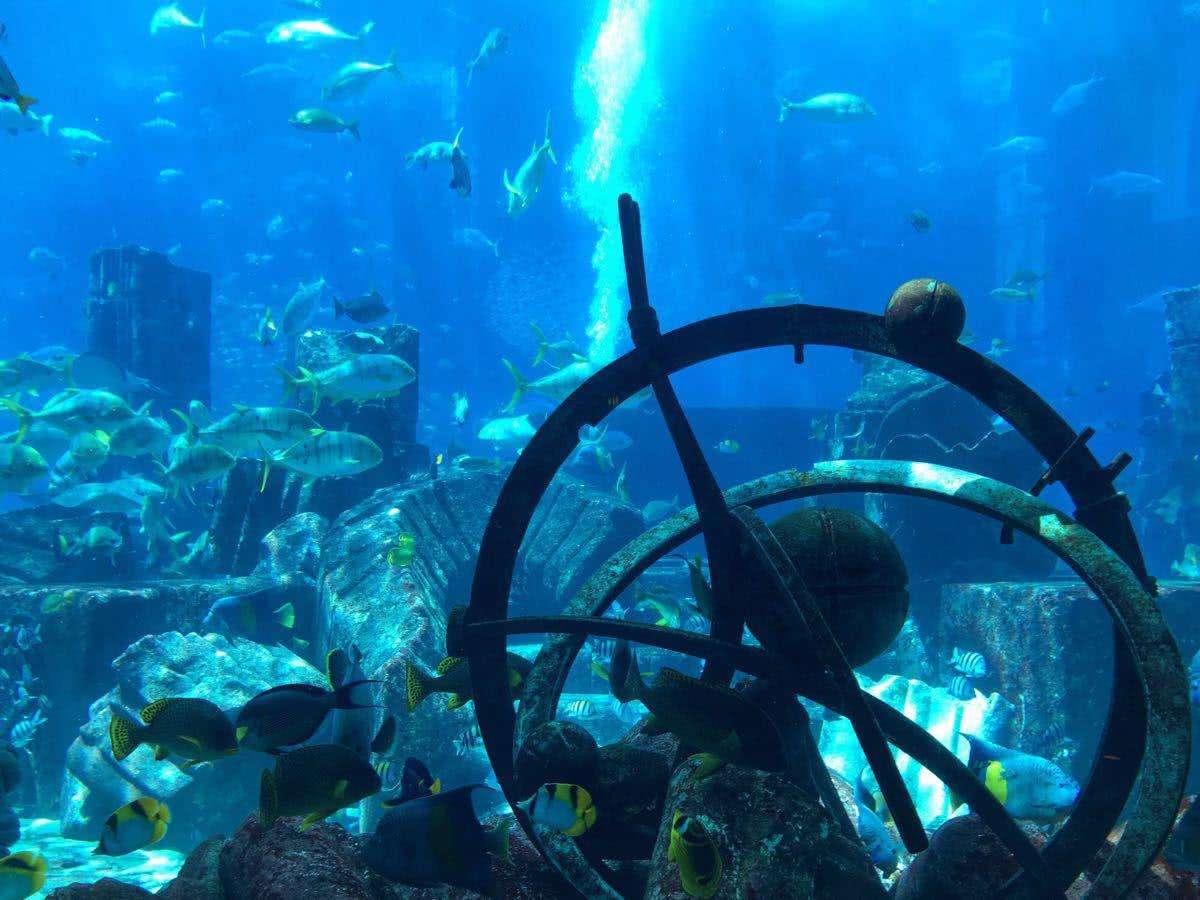 現(xiàn)代海軍力量尖端科技