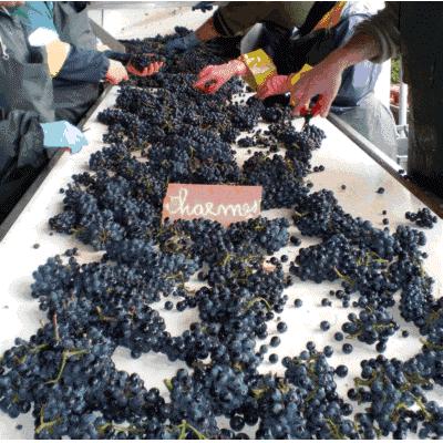 歷史與未來的交匯