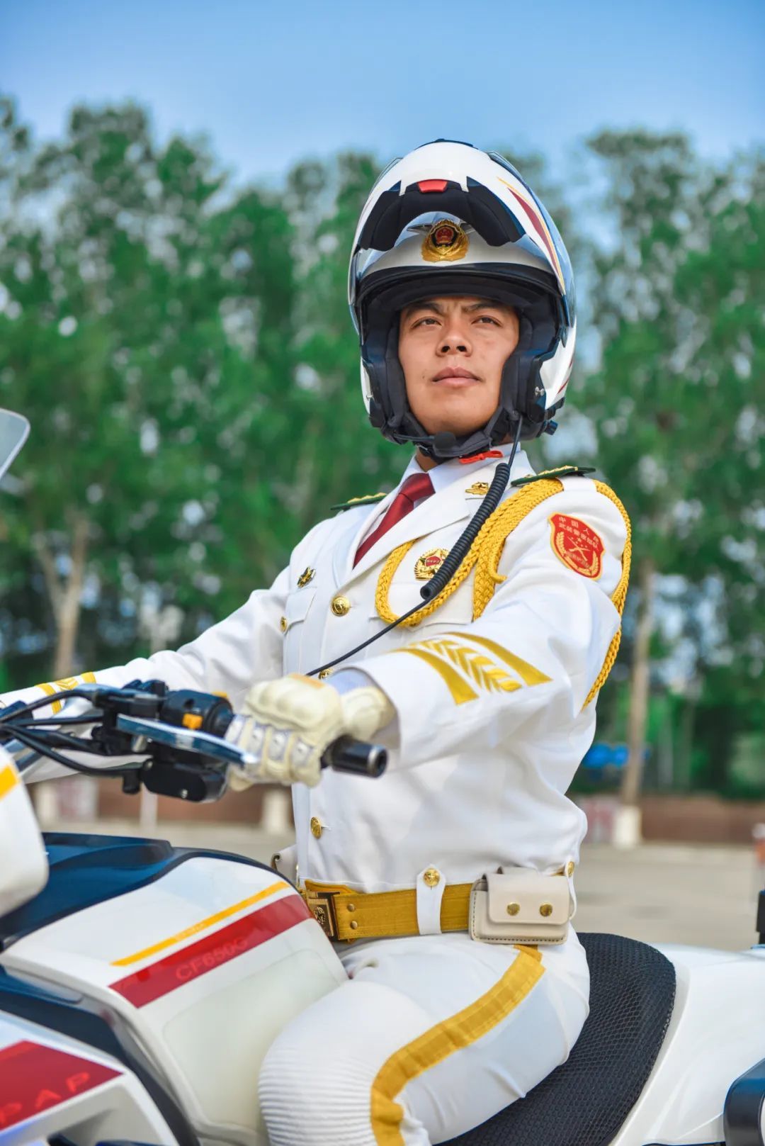 國賓護衛(wèi)隊，護衛(wèi)任務的榮耀與使命，國賓護衛(wèi)隊，榮耀與使命的護衛(wèi)任務