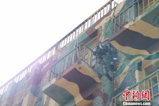 蛟龍突擊隊，頂尖的實力與不凡的傳奇，蛟龍突擊隊，頂尖實力與傳奇故事