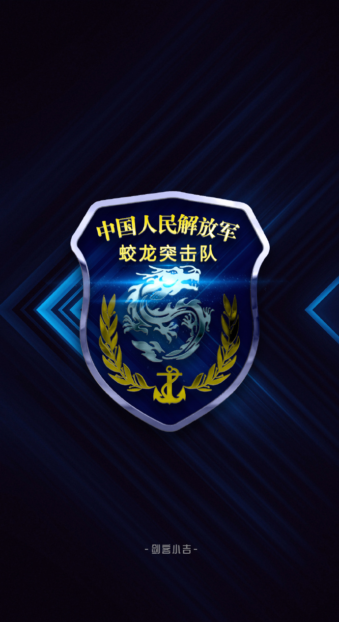 蛟龍突擊隊臂章高清，榮耀的象征與力量的展現(xiàn)，蛟龍突擊隊臂章高清，榮耀與力量的象征
