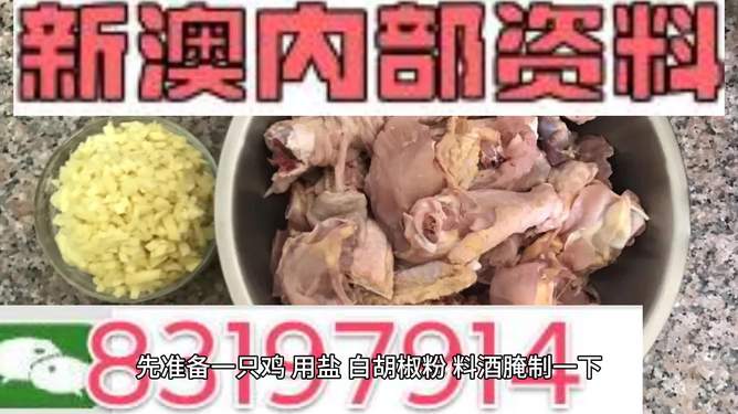 探索未來(lái)之門，澳門新資料雞號(hào)展望（2025年展望），探索未來(lái)之門，澳門新資料雞號(hào)展望至2025年