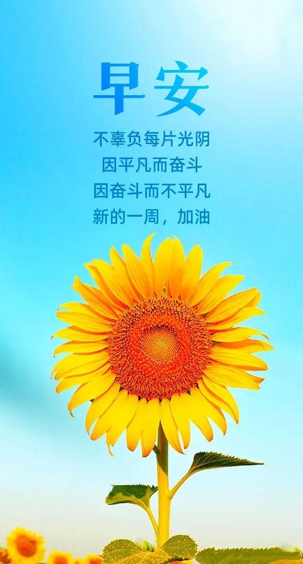 深度國(guó)際，探索未來(lái)的全球視野與機(jī)遇，深度國(guó)際，全球視野下的未來(lái)機(jī)遇探索