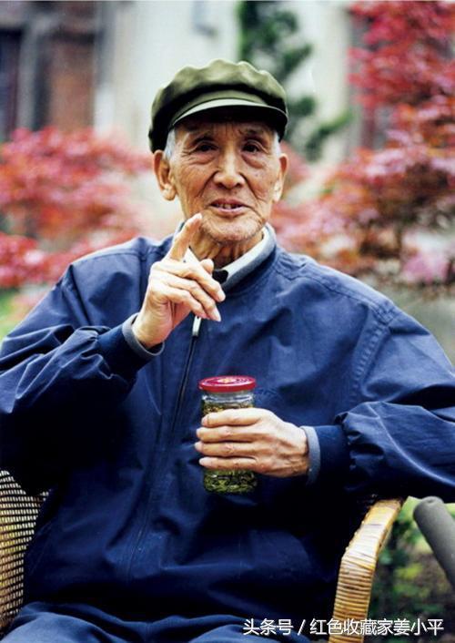 紀(jì)念衛(wèi)國戰(zhàn)爭勝利七十周年閱兵，回顧歷史，展望未來，衛(wèi)國戰(zhàn)爭勝利七十周年閱兵，回顧歷史榮光，展望未來輝煌