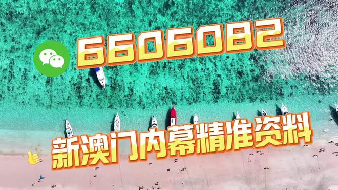 澳門今晚必開一肖一特大眾網(wǎng)——探索生肖彩票的魅力與理性參與，澳門生肖彩票魅力探索，理性參與，追求夢想一肖一特大眾網(wǎng)揭曉夜。
