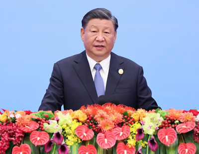 三肖王中王選一肖，探尋最佳選擇的背后邏輯，探尋三肖王中王選一肖的背后邏輯