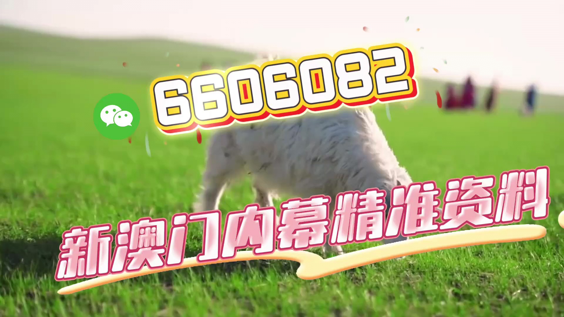 澳門必開一肖一碼安穩(wěn)，揭秘彩票背后的秘密與策略，揭秘彩票背后的秘密與策略，澳門必開一肖一碼安穩(wěn)探討