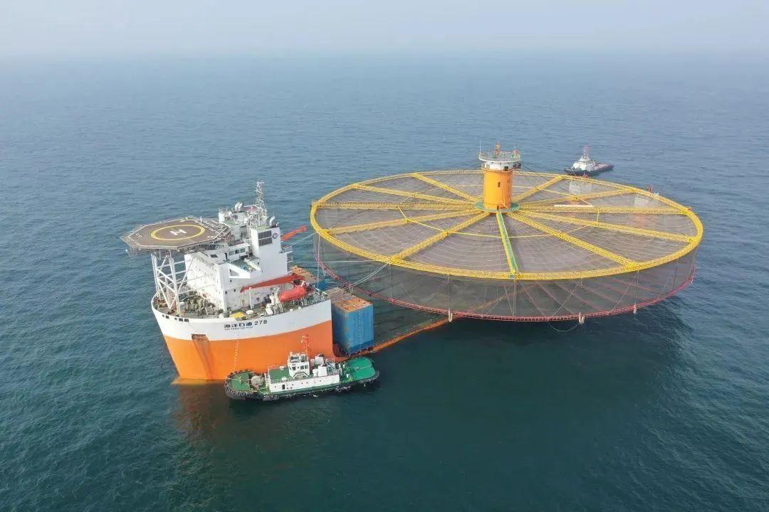 半潛船50000噸的概況及數(shù)量概述，半潛船50000噸概況及數(shù)量概覽