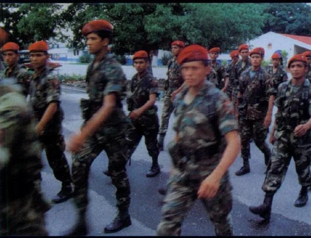 深度剖析與反思