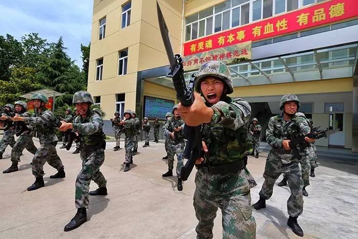 依法治軍從嚴(yán)治軍單位事跡，鍛造紀(jì)律之師的典范，鍛造紀(jì)律之師的典范，依法治軍從嚴(yán)治軍單位事跡展