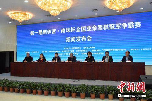 王中王王中王免費資料大全一，深度解析與探索，王中王王中王資料大全深度解析與探索一