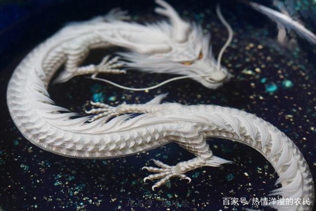 揭秘052白龍，傳奇戰(zhàn)艦的榮耀與擔(dān)當(dāng)，揭秘傳奇戰(zhàn)艦052白龍，榮耀與擔(dān)當(dāng)?shù)膫髌嬷? class=