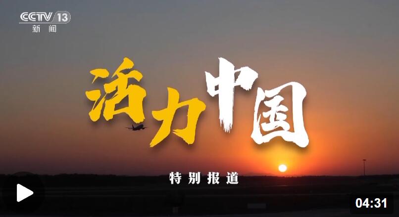澳門正版資料免費大全新聞，探索與解讀，澳門正版資料免費大全新聞，深度探索與解讀