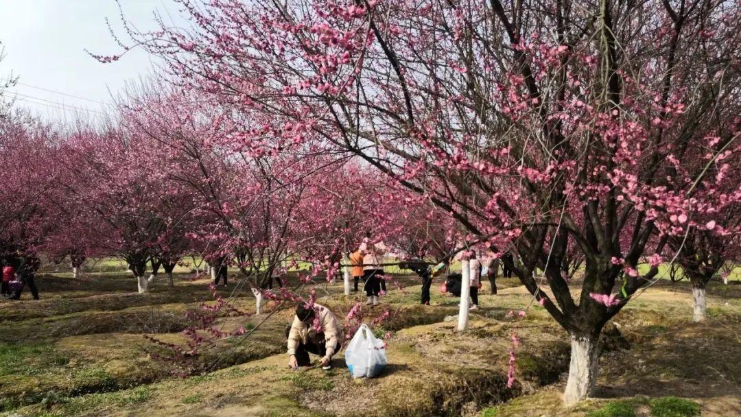 國(guó)際時(shí)事新聞評(píng)論，國(guó)際時(shí)事新聞深度評(píng)論